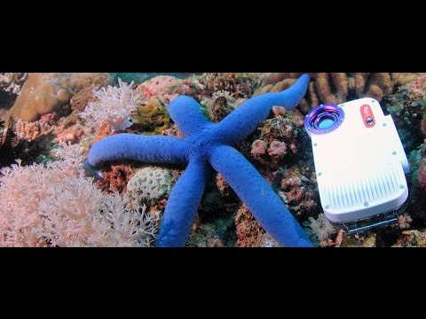 iPhone 4, iPhone 4S Underwater Video Test Wide Angle Lens & Filters by Freedom Divers Phuket