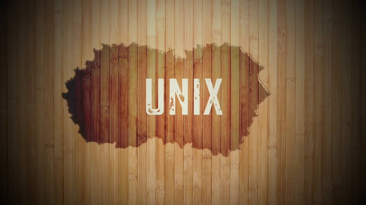 El sistema operativo Unix