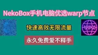 免费vpn，nekobox手机电脑优选warp节点，快速高效无限流量，永久免费爱不释手。#vpn #科学上网 #翻墙 #免费vpn