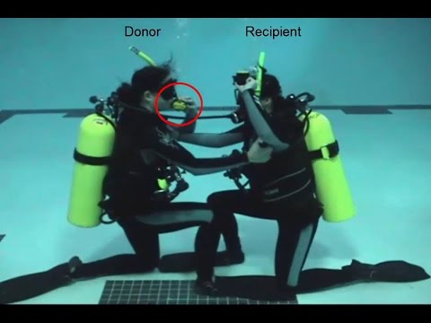 NOAA Diver: Check Out Skills Part 7 - Alternate Air Source to the Surface