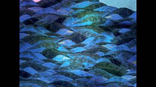 Avishai Cohen - Seven seas