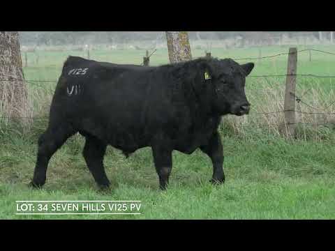Lot 34  SEVEN HILLS V125 PV
