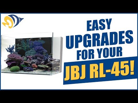 Tank Hacks: Easy Upgrades for Your JBJ RL-45 Rimless Aquarium