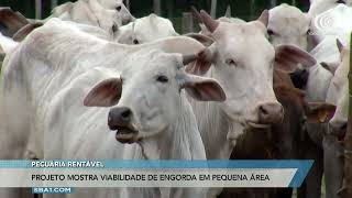 Miniatura do vídeo