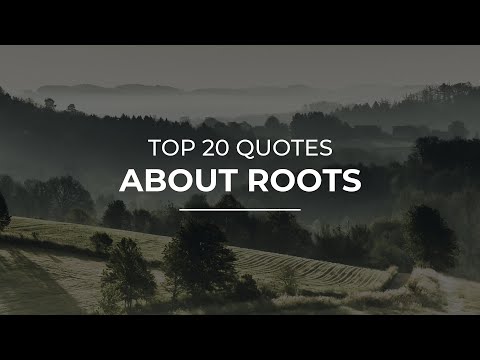 Top 20 Quotes about Roots | Quotes for Photos | Soul Quotes