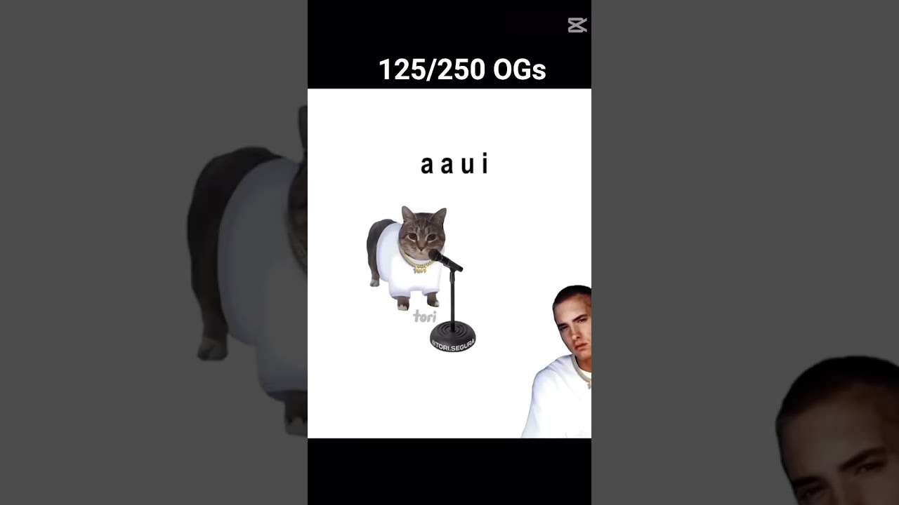 lol #rap #meme #memes #uiacat #musicgenre