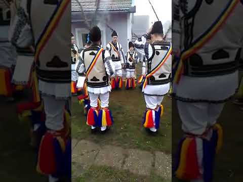 Călușari de la Dancu mare.