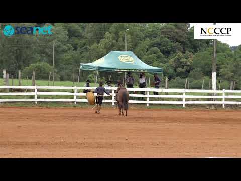 NCCCP - Bayard Sarmento