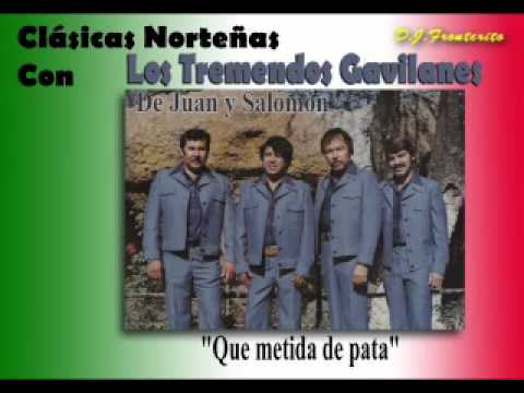 Los Tremendos Gavilanes  - Que metida de pata  (Ranchera)