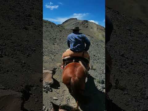 Cruce Sanmartiniano de Los Andes - Temporada 2026-2027  #cordillera #cabalgata #malargüe