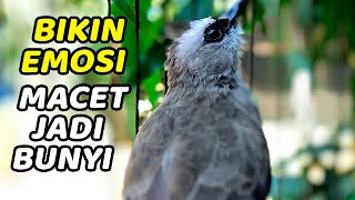 Download lagu TRUCUK ALARM SUBUH BORAK BARIK ANGKLES mp3 Download lagu TRUCUK ALARM SUBUH BORAK BARIK ANGKLES mp3