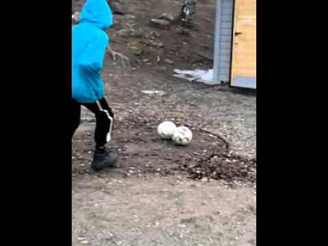 Maailman paras potku failit.