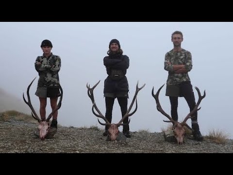 3 Stags hit the deck! The Roar 2024! | Hunting South Island New Zealand!