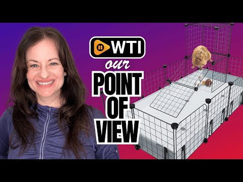 BUCATSTATE 20 Panels Guinea Pigs Cages - WTI product video review