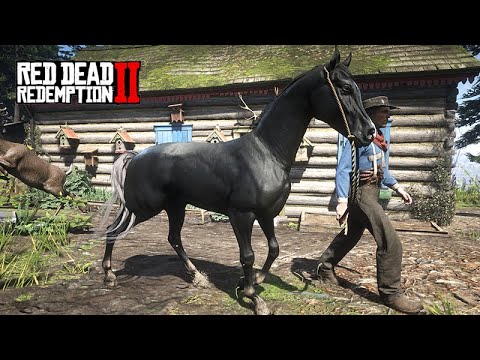 Em busca do PURO SANGUE ÁRABE NEGRO  -  Red Dead Redemption 2
