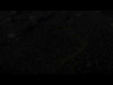 Por dentro dos bastidores - 14/01