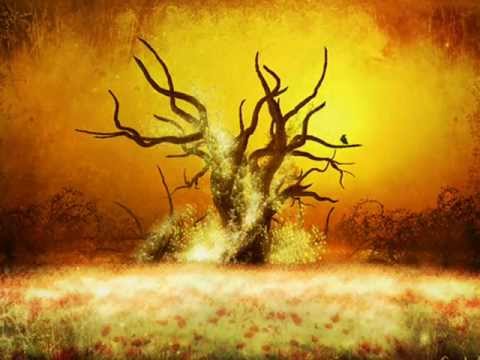 When angels touched the ground...........