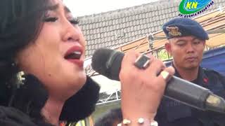 Download lagu New Palapa - Erie Suzan - Tum Hiho (Kayu Manis Gringsing Batang) mp3