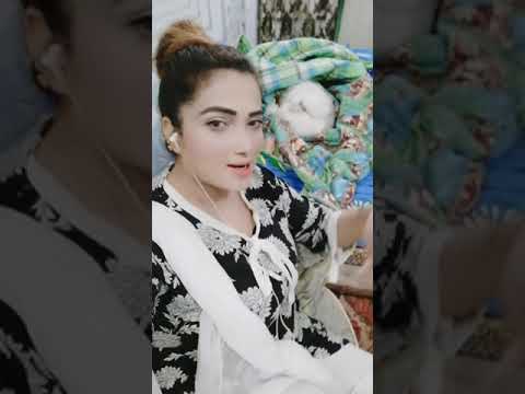 Cats Lovers Kittens Lovers || Ghazal shah with kitten || loving cats || ghazal shah official