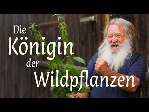 Die Macht der Brennnessel
