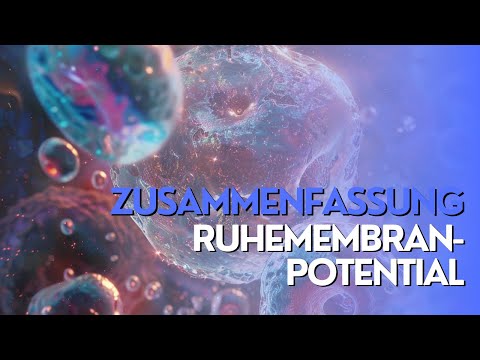Resting membrane potential simply explained: Heart | Cell | Neuron | Chloride | Muscle