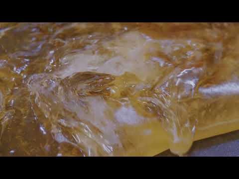 Bonbon Pingel — Videoproduktion