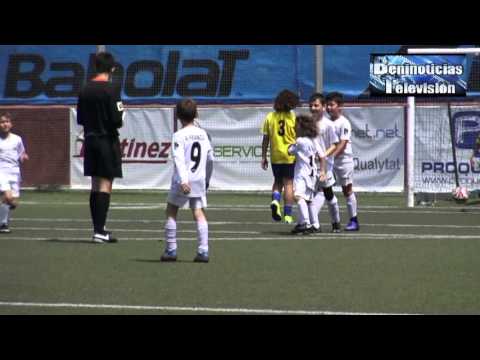 PREBENJAMIN BENIDORM 2008 B  -  ALFAZ DEL PI