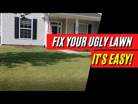 How to Fix an Ugly Lawn / Easy Lawn Care for Beginners