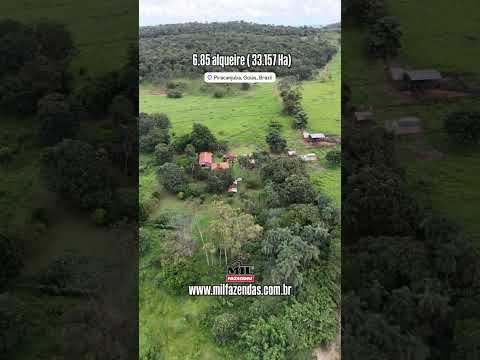 Excelente chácara no município de Piracanjuba GO - 6.85 alqueires #chacaraavenda #sitio