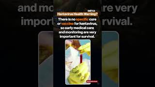 What is Hantavirus? Rare Deadly Virus Linked to MV Hondius Cruise Outbreak Explained