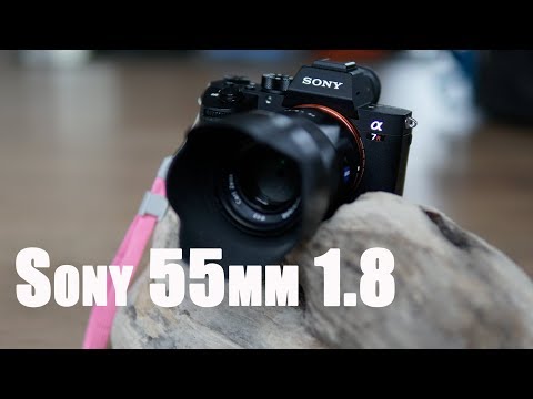 Testbericht Sony 55mm Objektiv an A7 II und A7R III