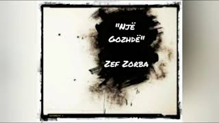 Video e studenteve per Zef Zorben