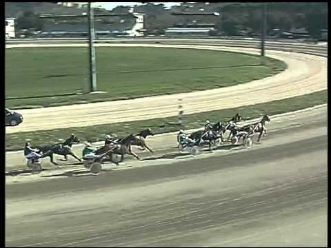 Trotto 08/03/2015 - 1° corsa