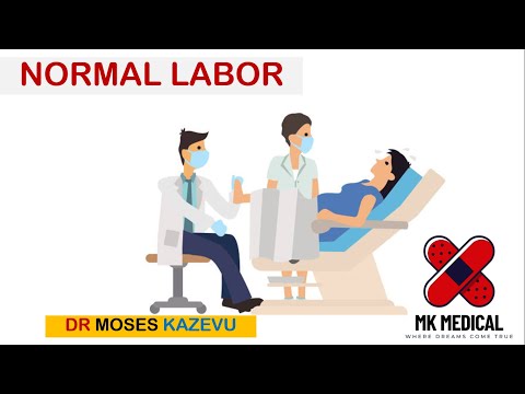 Normal Labor