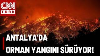 Antalya'da Orman Yangını: Yeşil Vatanı Yakanlara Ağır Ceza! Orman Yakm