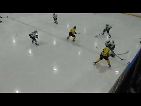 C Mestis karsinta SaiPaKetterä Team - Pelicans Akatemia 16.11.2018