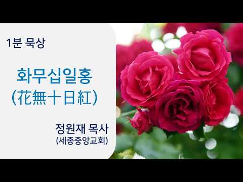 YouTube 영상 썸네일