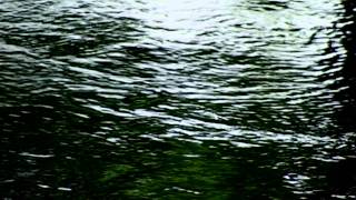 Anúna : Peperit Virgo - Michael McGlynn