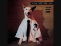 Rick Springfield - I've Done Everything For You