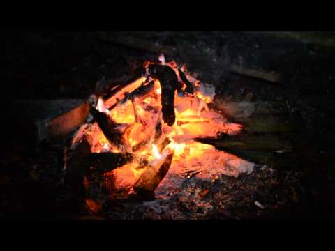Larisa Lupu, Alex Vrânceanu & Vasile Ilie
