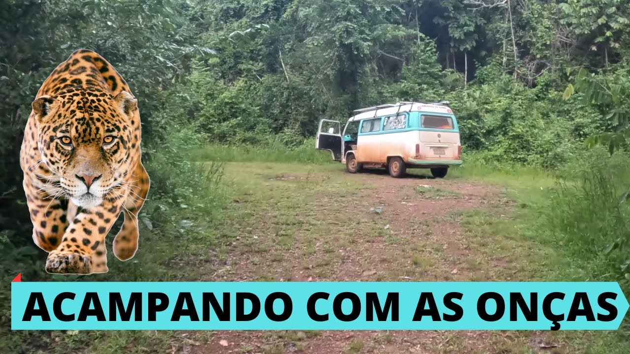 ONÇA visitou o acampamento #23-40