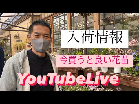 チーク材のガーデンファニチャー：天気の良い日に楽しむためのメンテナンス方法は？  庭園