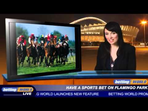 Have a sports bet on Flamingo Park