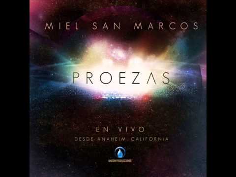 Miel San Marcos-Unidos