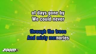Michael Buble - How Can You Mend A Broken Heart - Karaoke Version from Zoom Karaoke