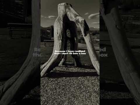 “Own Your Peace”Hashtags: #LifeChoices#NoExplanationNeeded#PeacefulDecisions#reels#feelitreelit