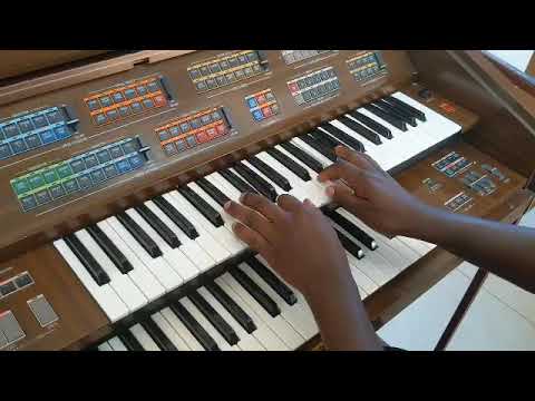 Nikushukuruje bwana by wasonga played by Alto