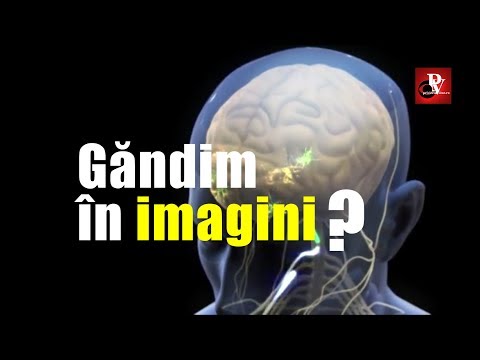GANDESTE CREIERUL IN IMAGINI?