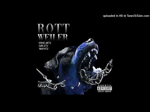 smolar72, gruz72, mofo72 - rottweiler