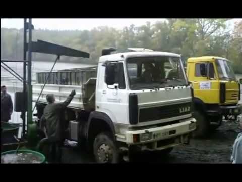 Výlov Otovského rybníka říjen 2012
